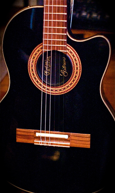 Gibson Guitar